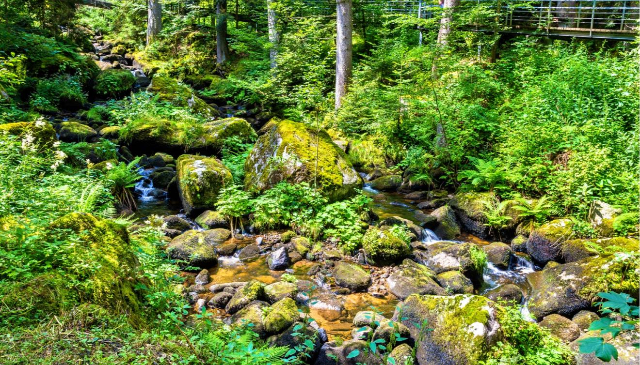 triberg zwarte woud