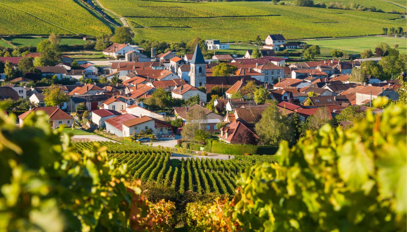 aube champagne france vignobles