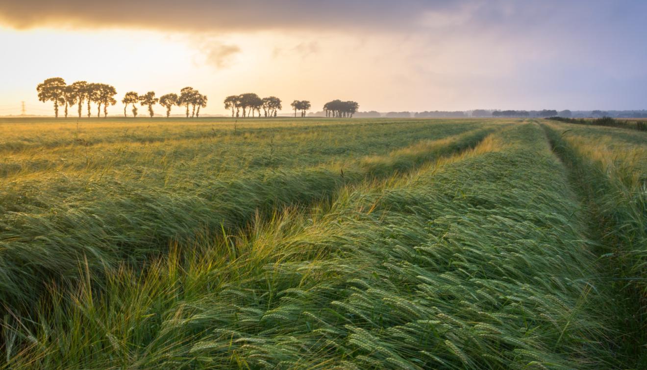 erm drenthe nederland