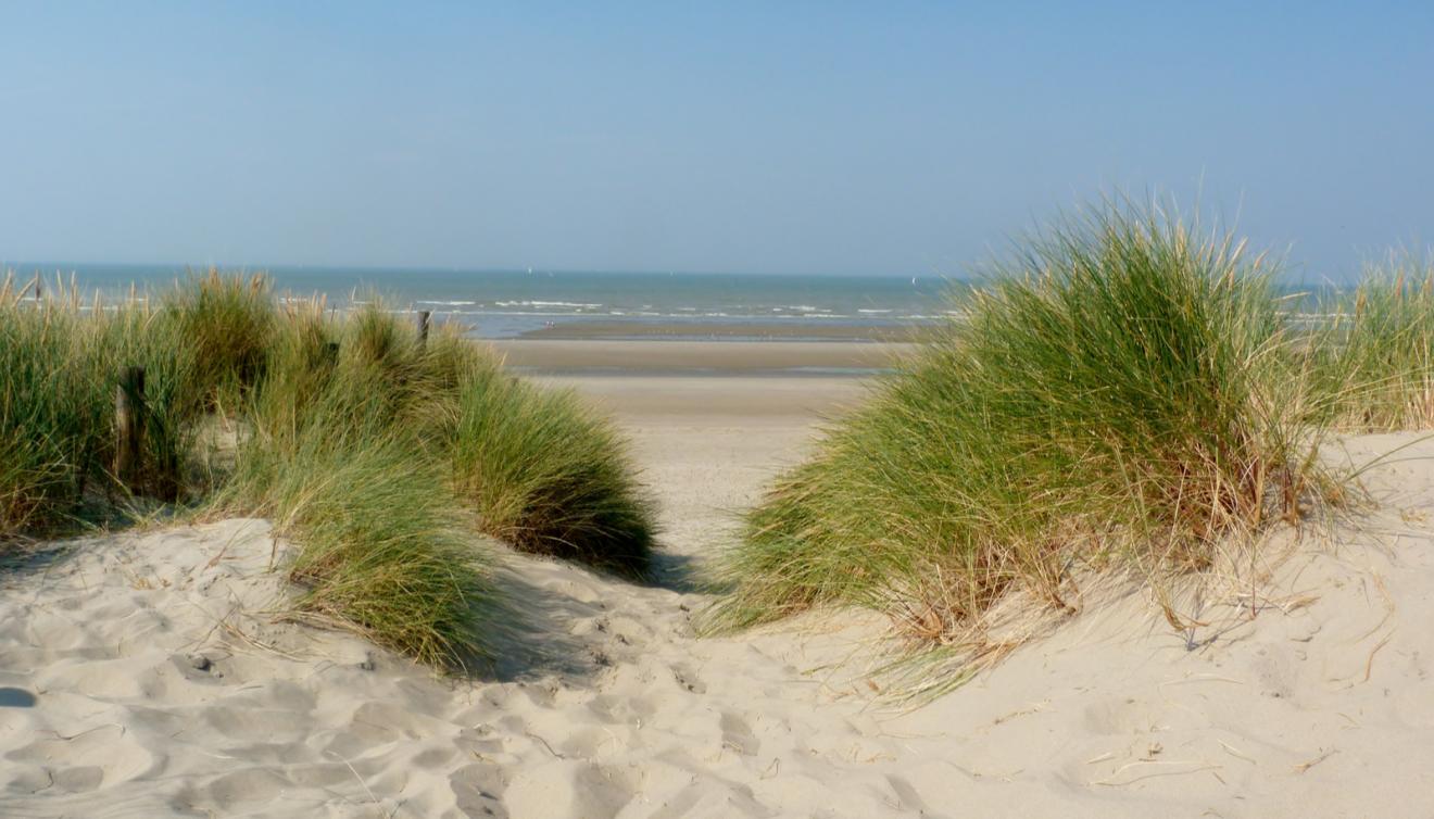 duinen blankenberge