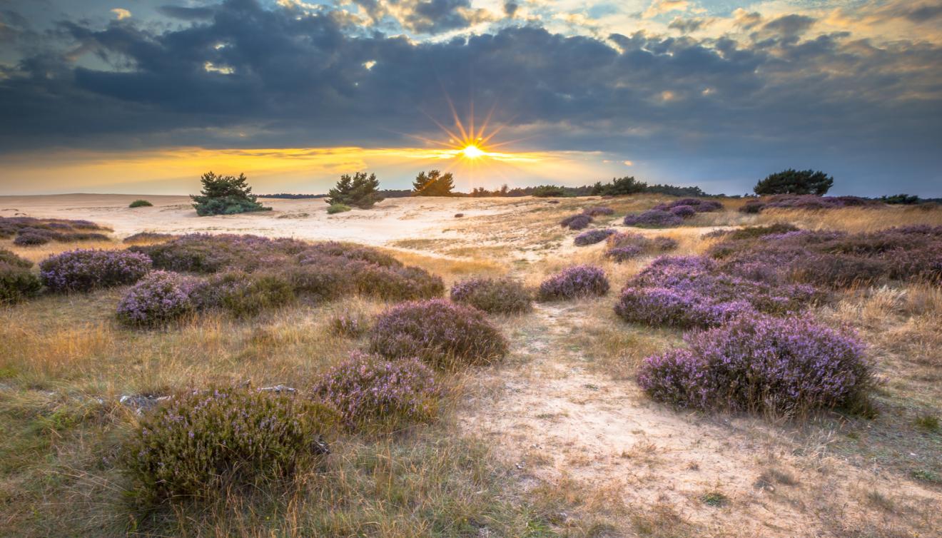 park hoge veluwe