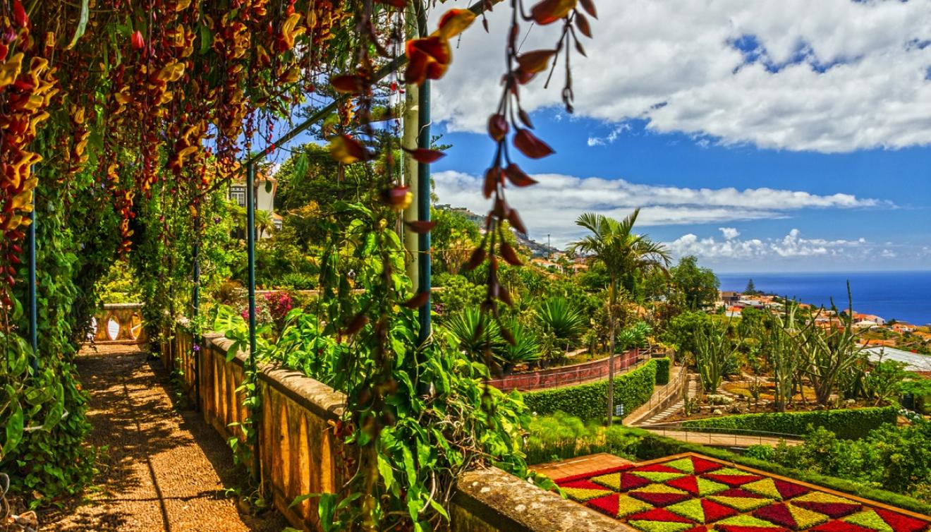 funchal botanische tuinen madeira