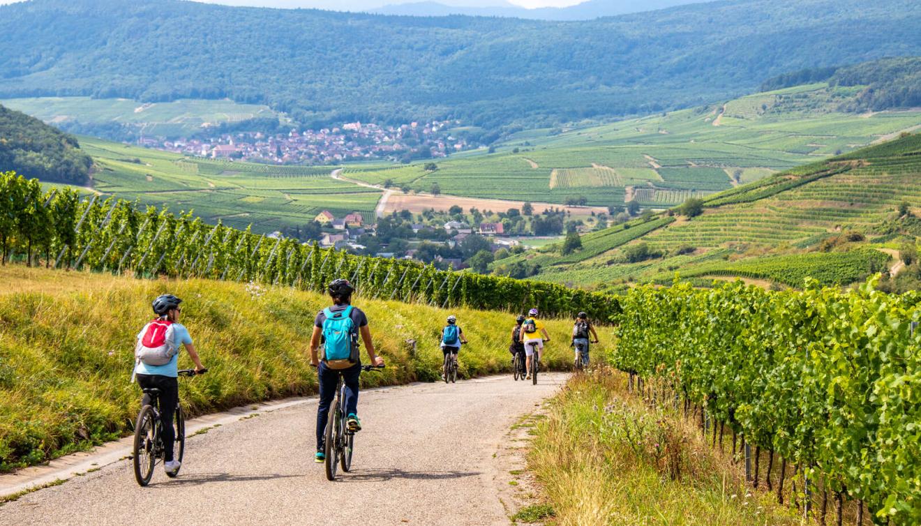 vélovignes alsace