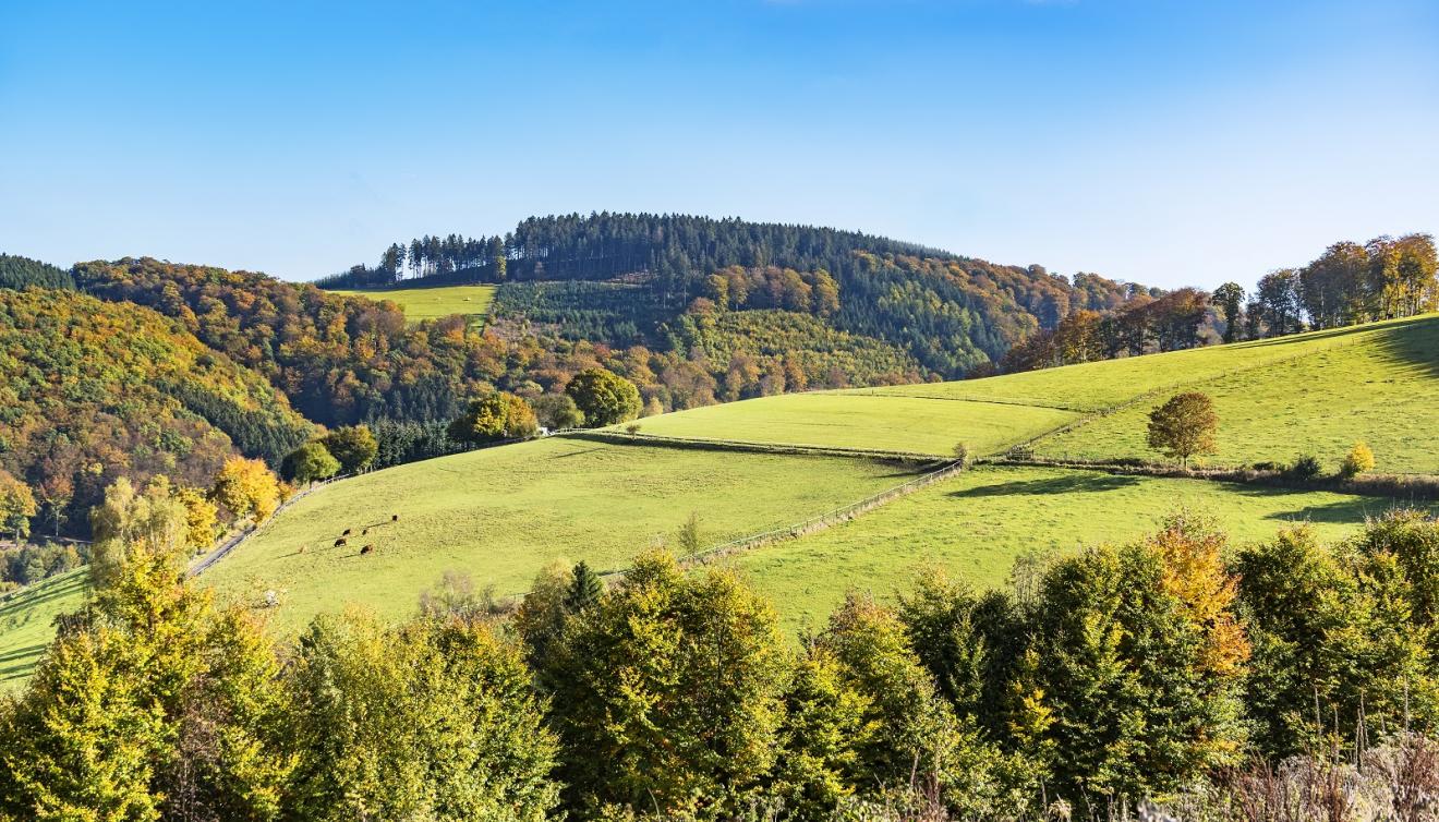 heuvels in het sauerland