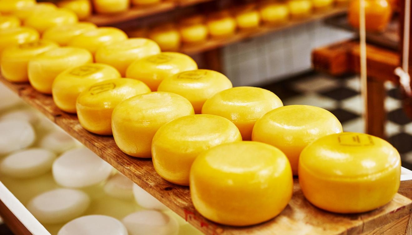 gouda kaasbollen