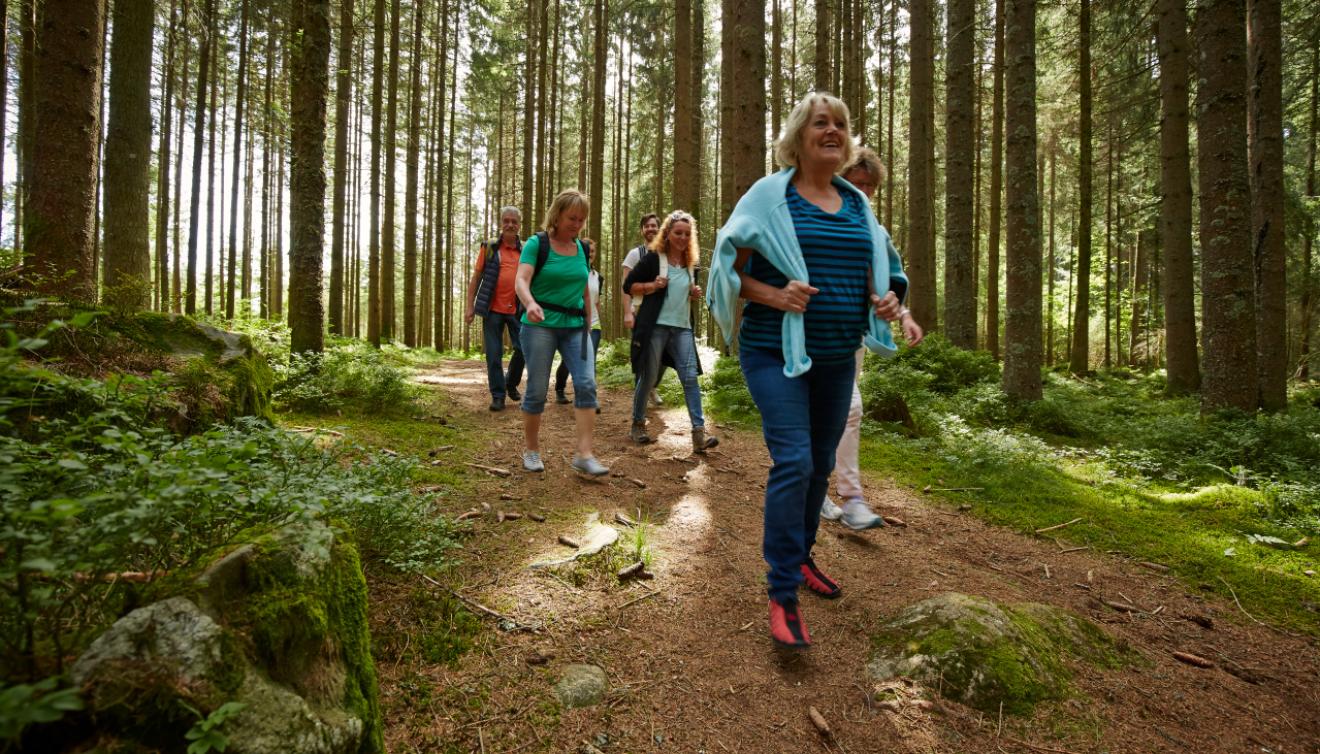 wandelen in het hochschwarzwald