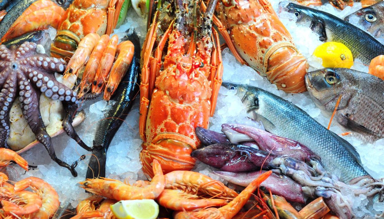 zeevruchten fruits de mer