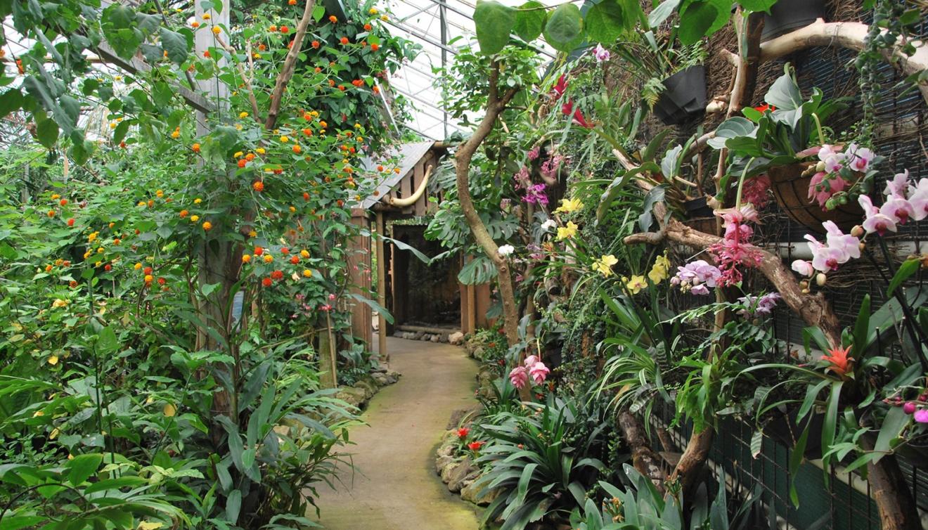 berkenhof tropical zoo