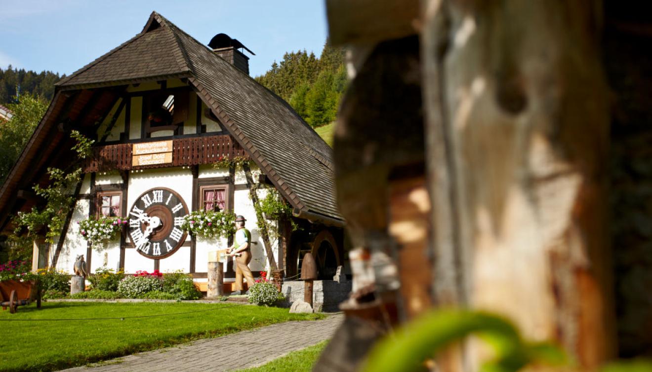 koekoeksklok in schonach zwarte woud