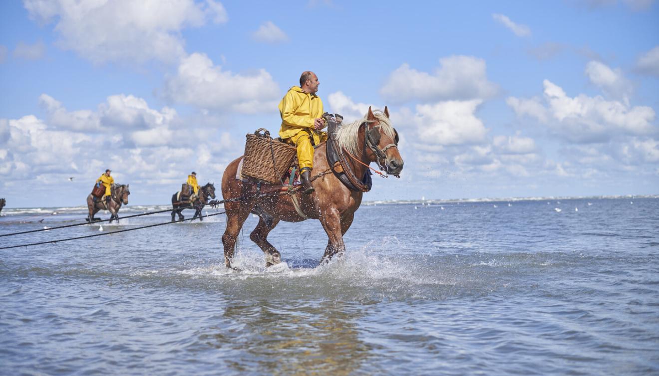 garnaalvissers oostduinkerke