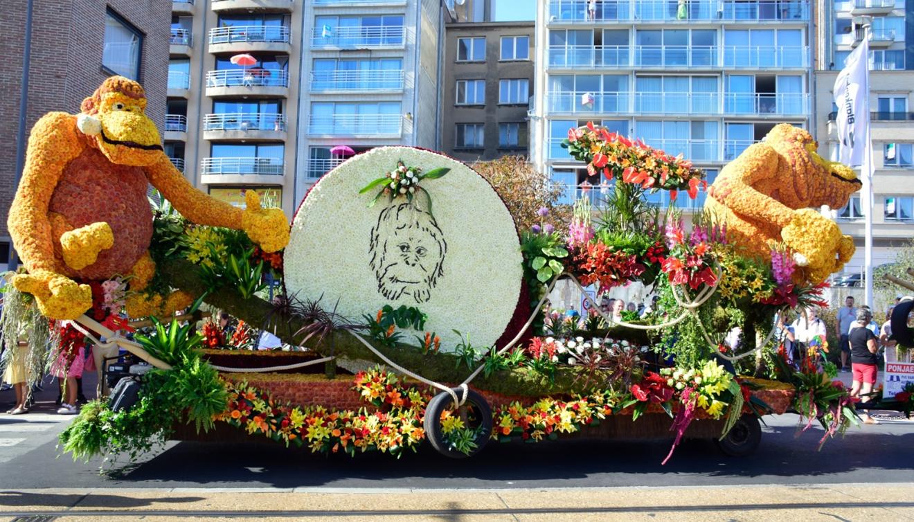 bloemenstoet blankenberge