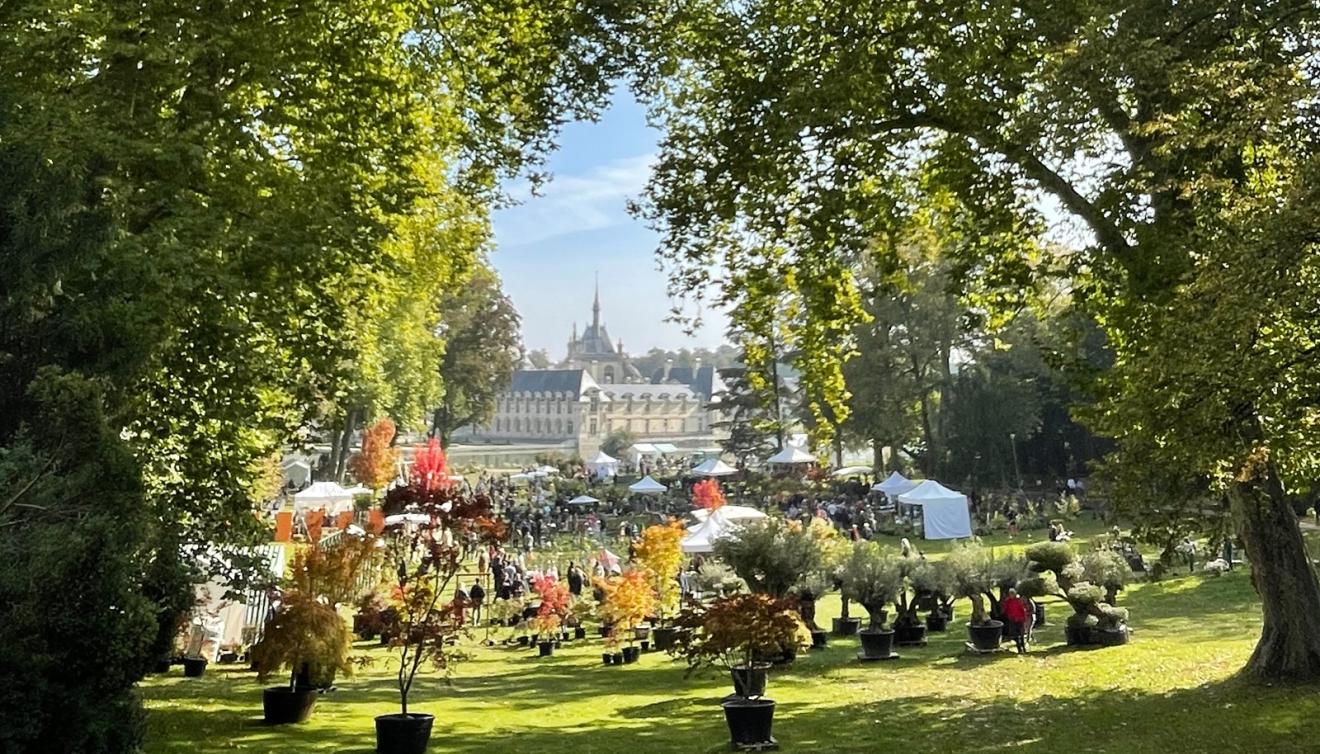 Château de Chantilly - Journée des Plantes