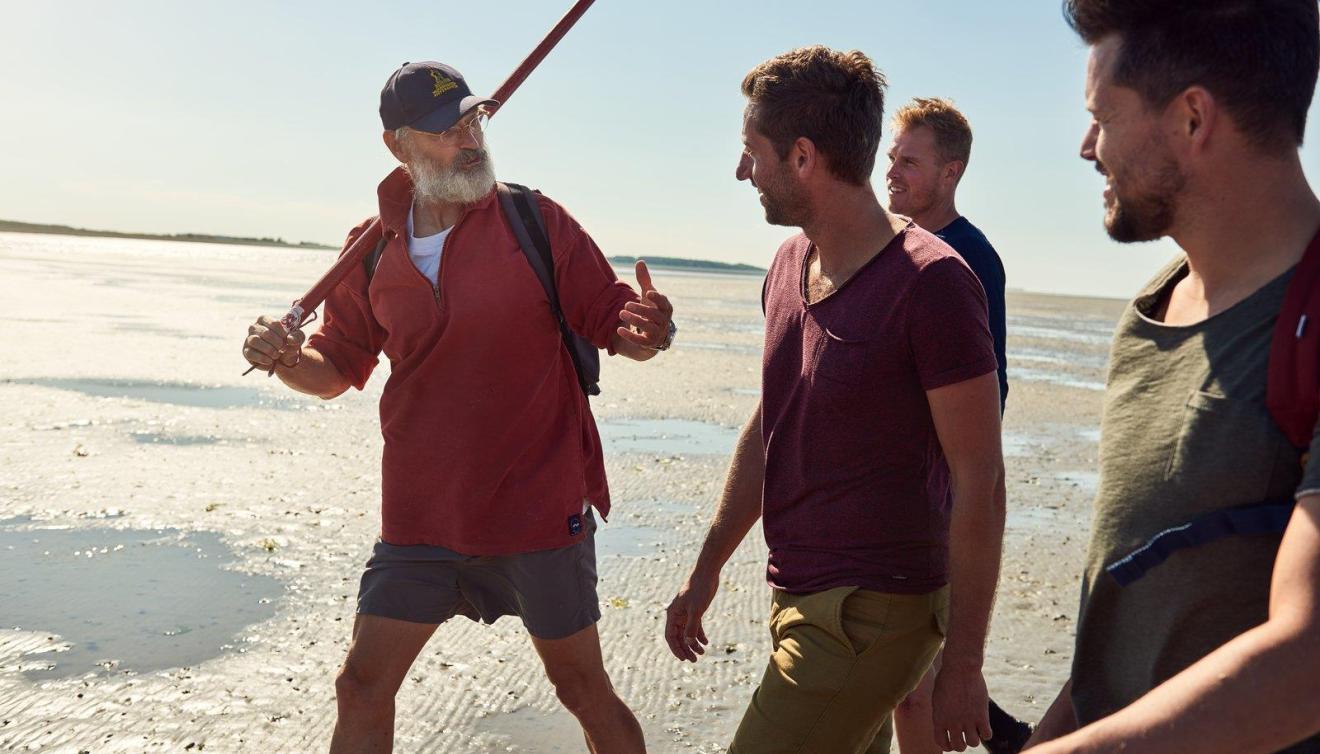 wadlopen in groningen