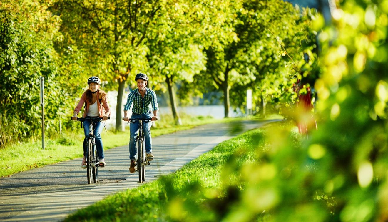 mosel radweg