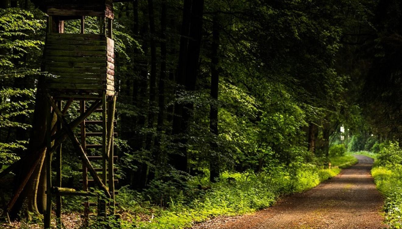 westerwald