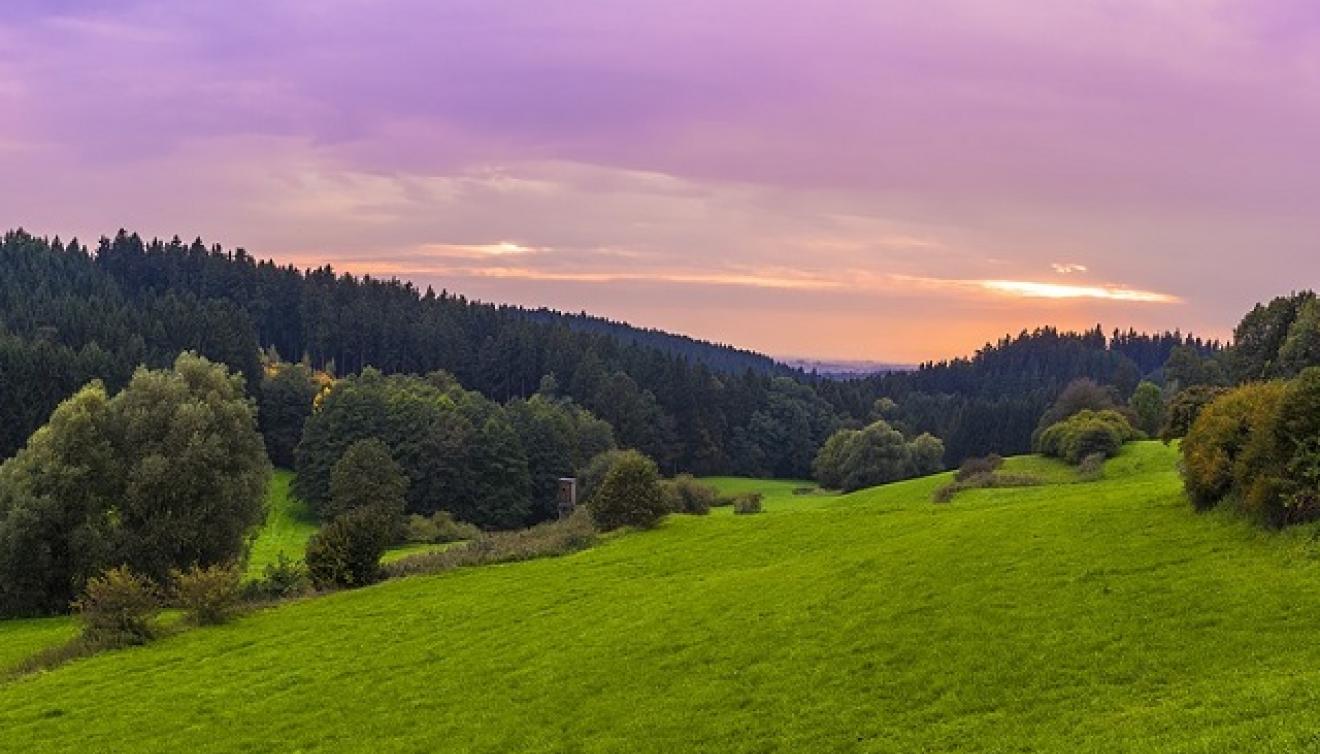 beieren woud duitsland