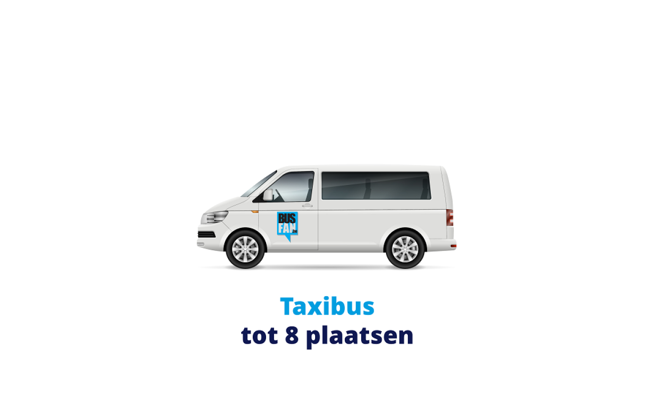 type taxibus tot 8 plaatsen