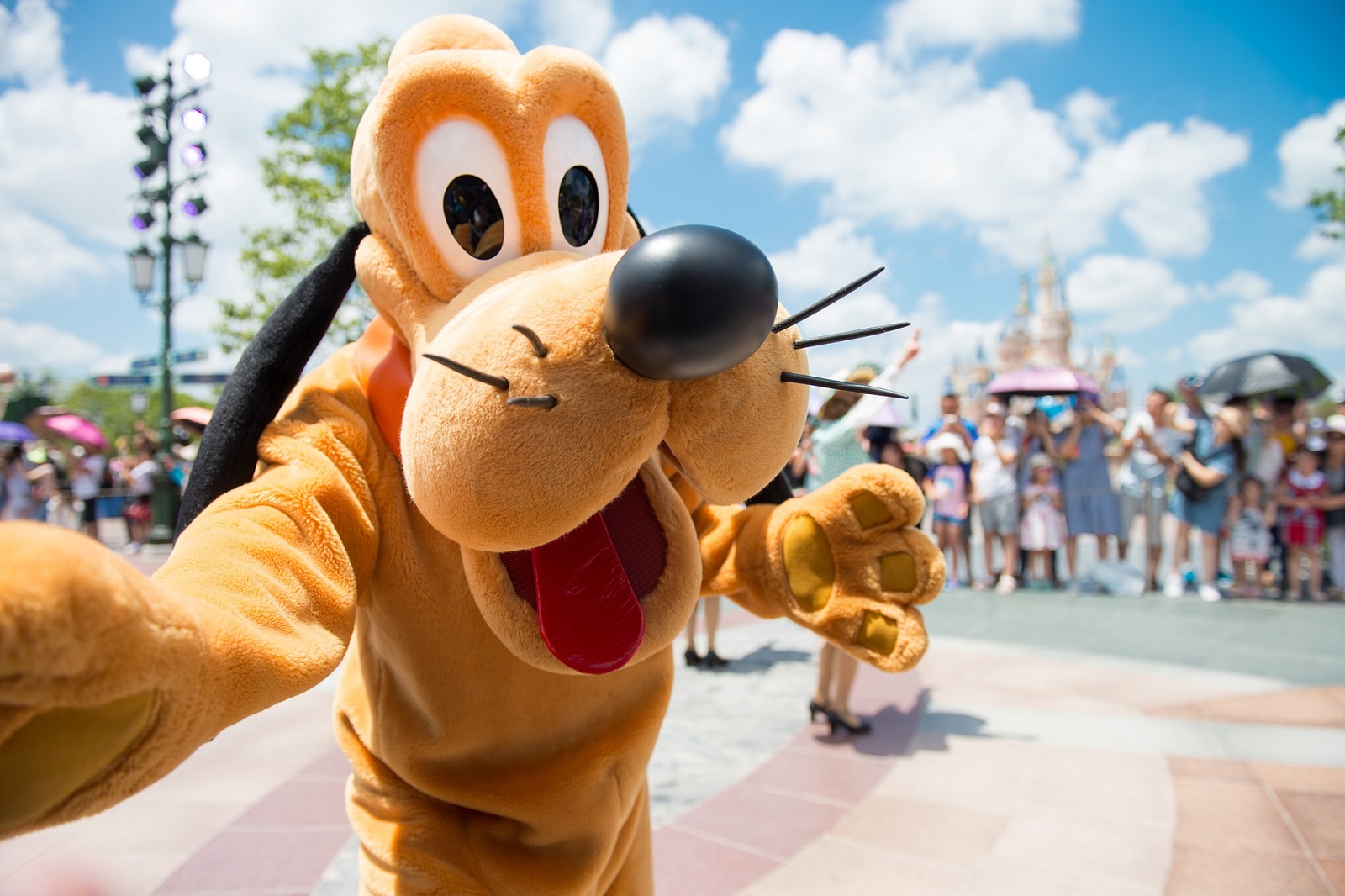 disneyland paris pluto