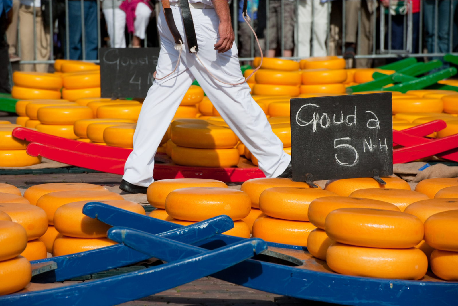 gouda alkmaar kaas