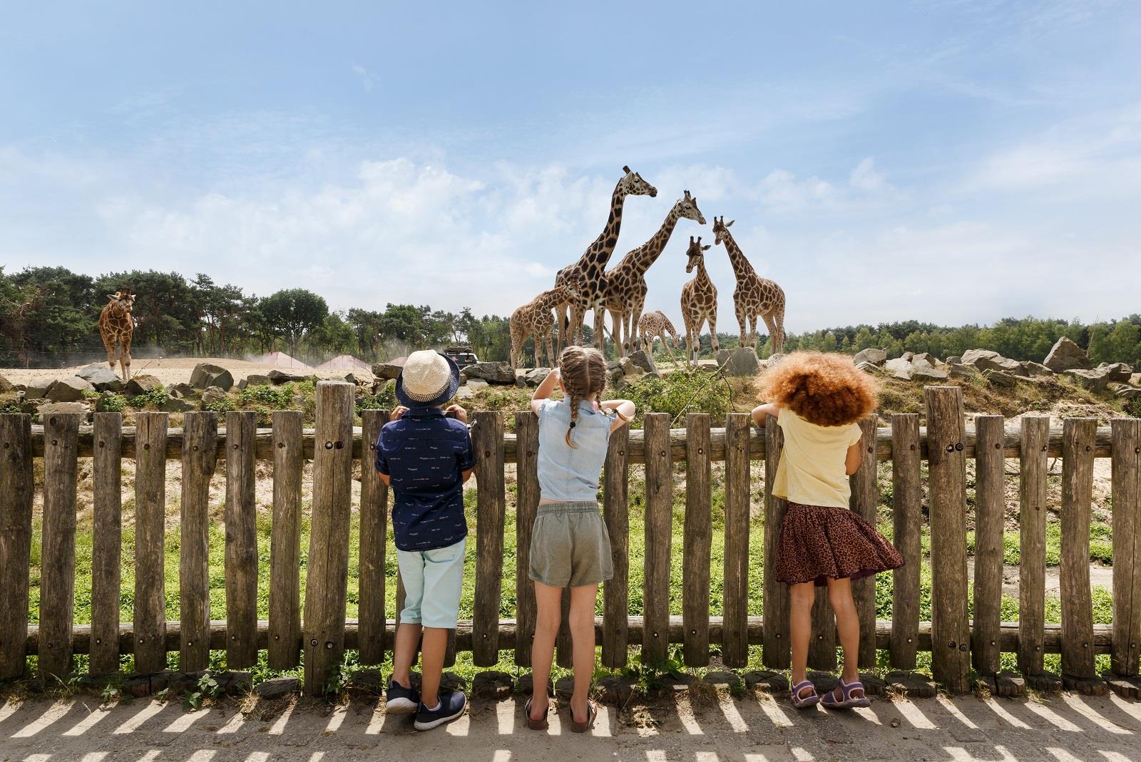 Beekse bergen parc animalier