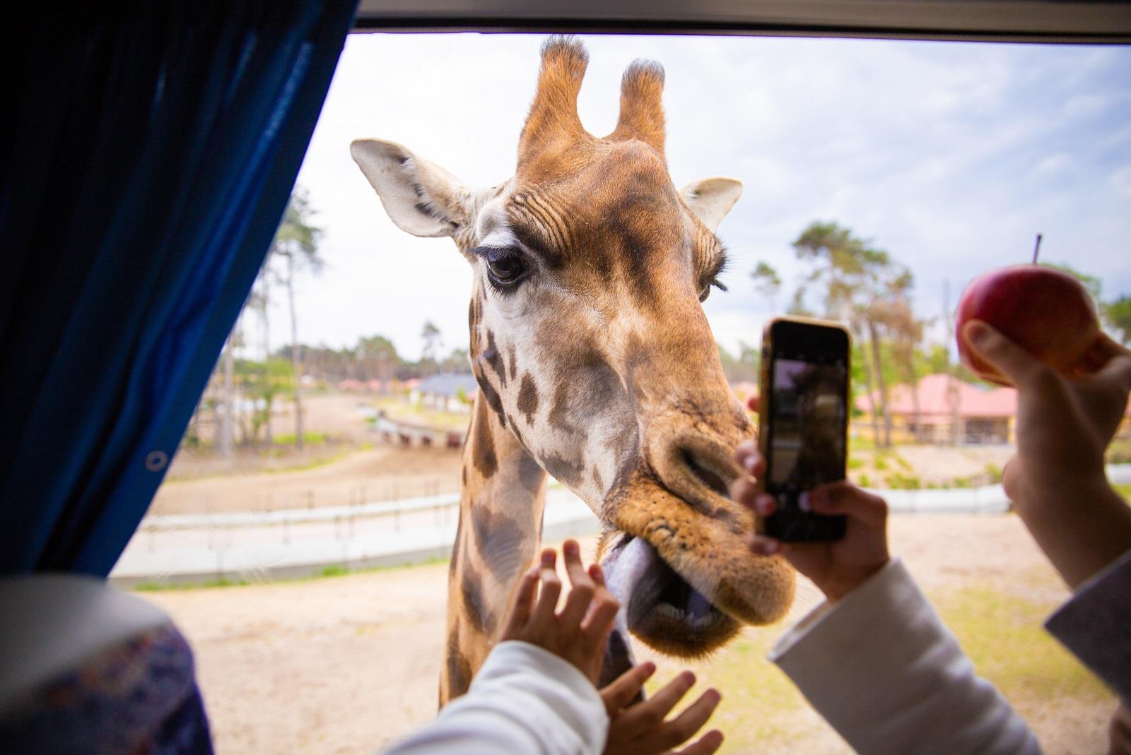 Safaripark Beekse Bergen