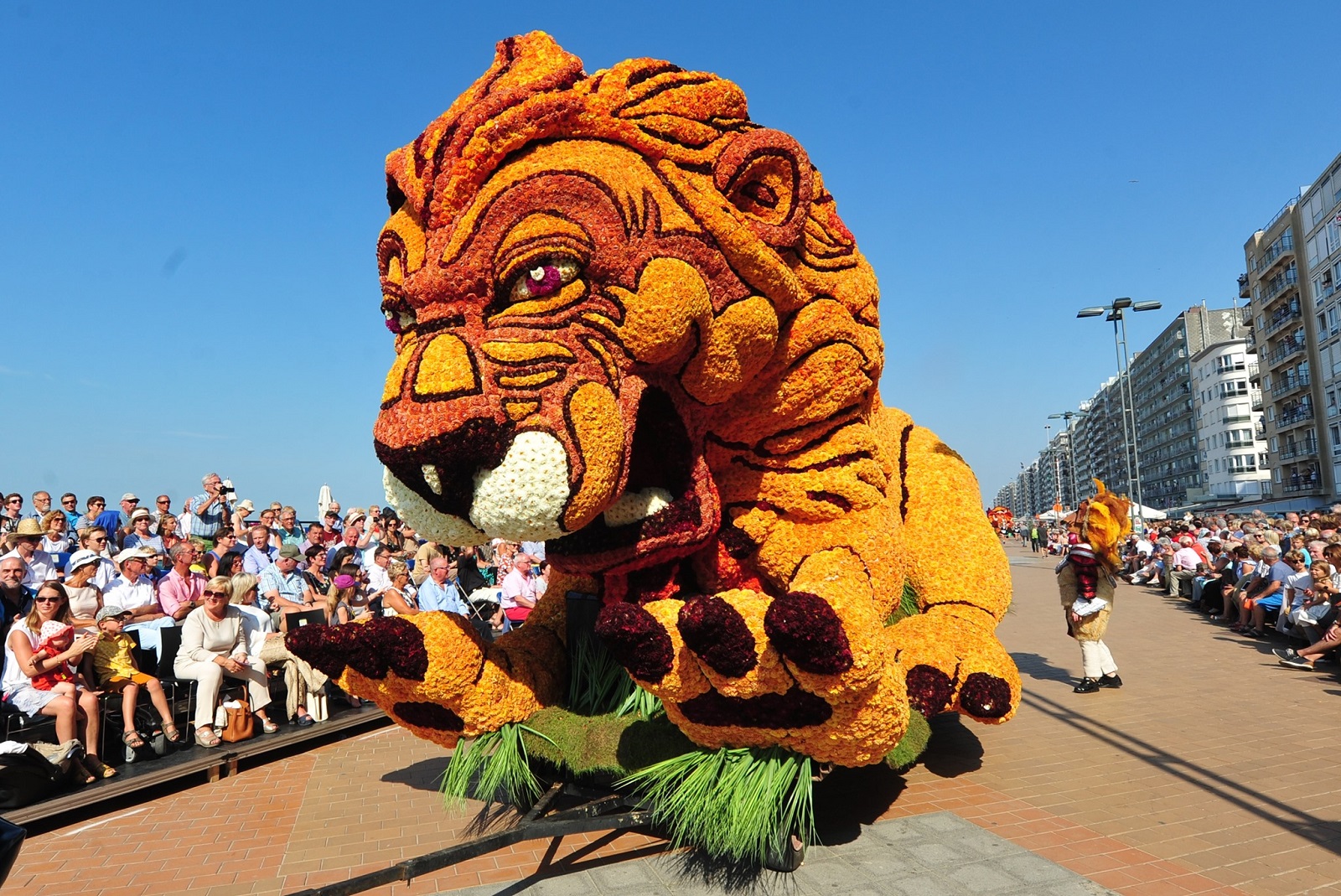 Blankenberge bloemencorso leeuw