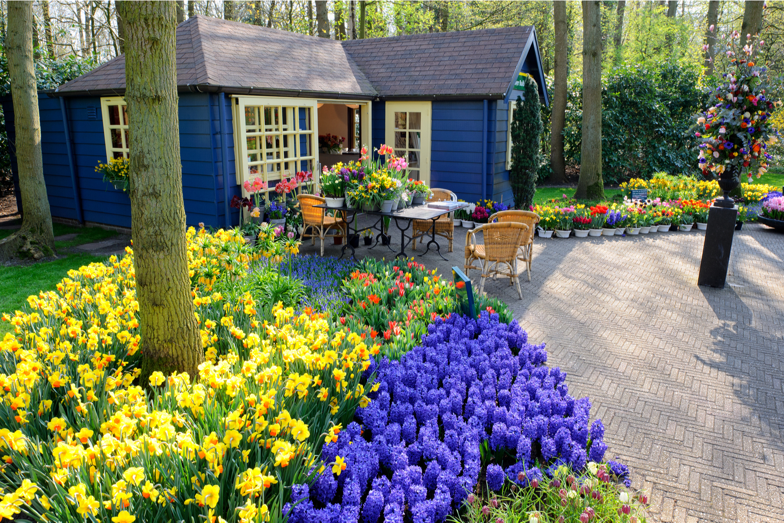 keukenhof lisse maison bleu