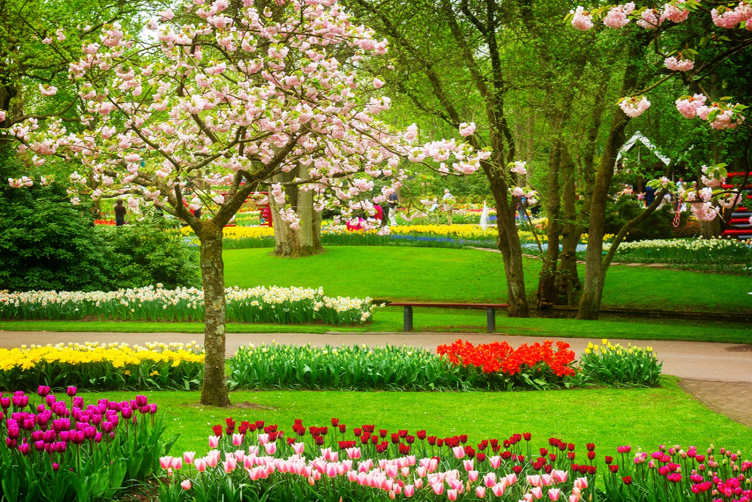 keukenhof lisse