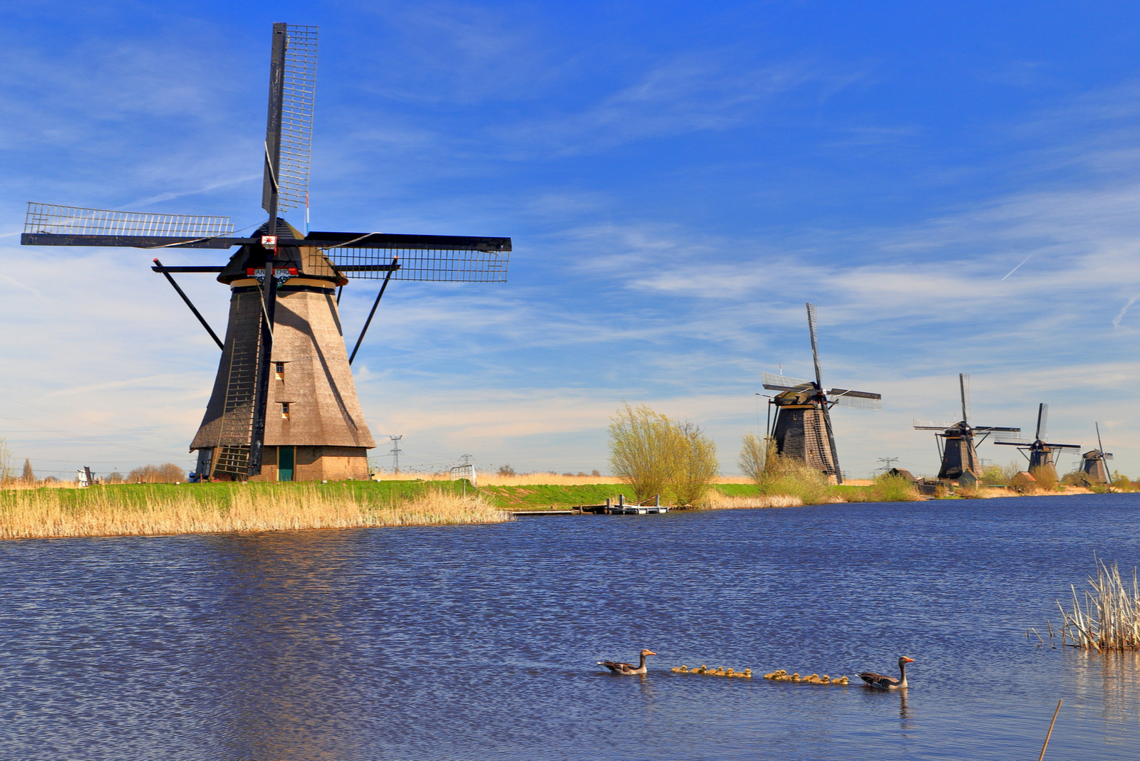 kinderdijk windmolen