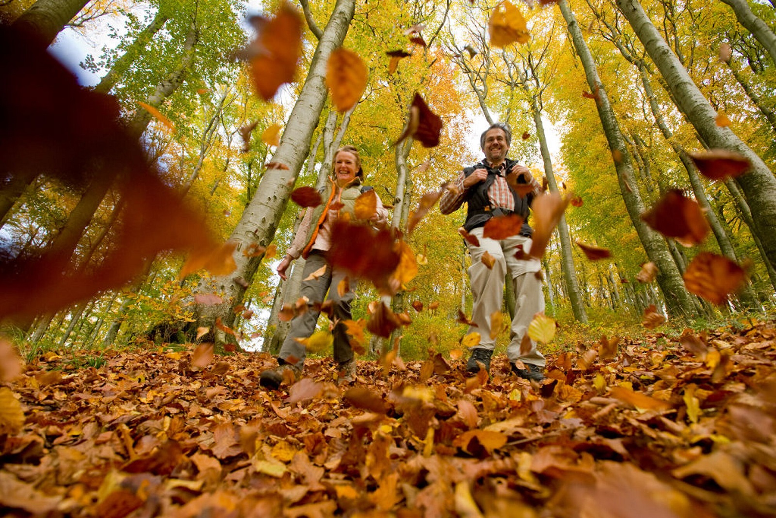 laubreggen eifel herfst