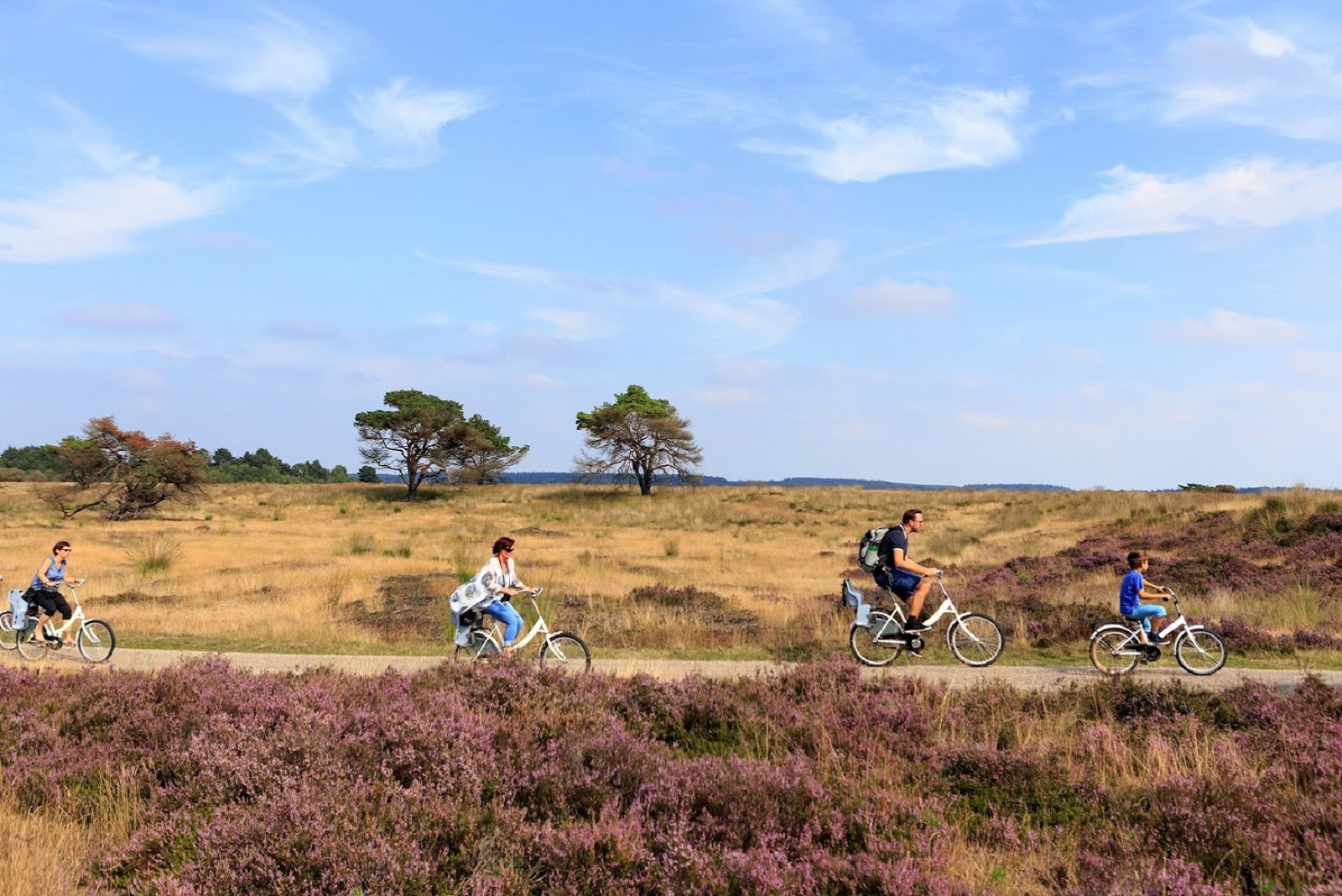 hoge veluwe fiets