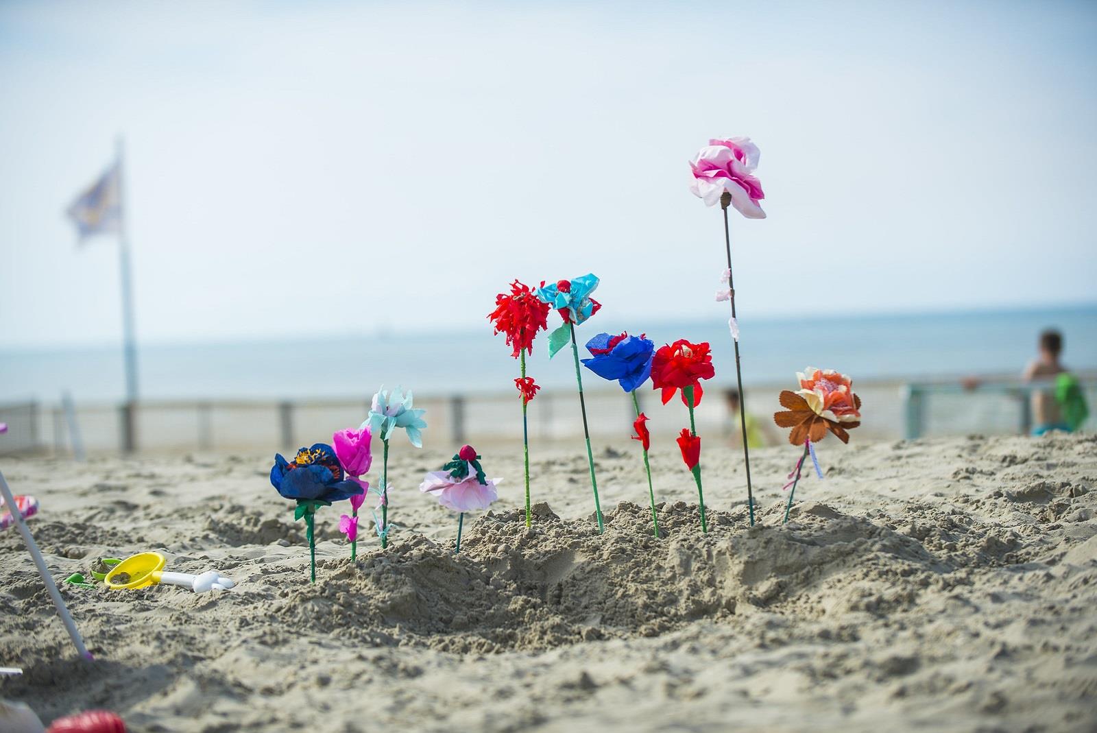 nieuwpoort strand bloemen