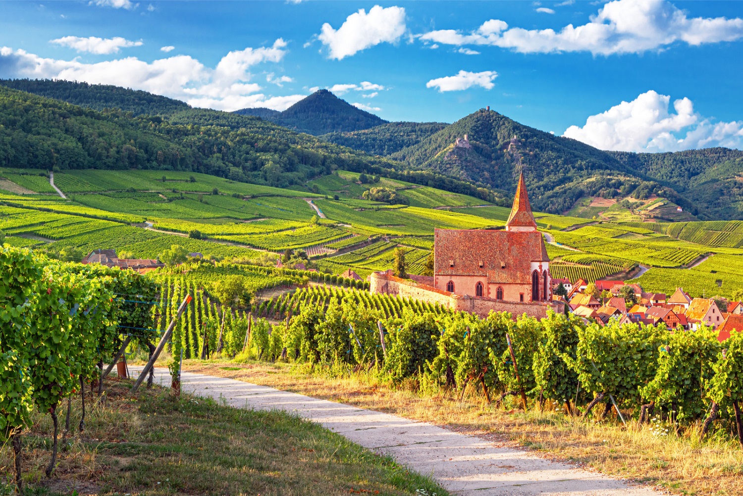 vignobles hunawihr alsace france