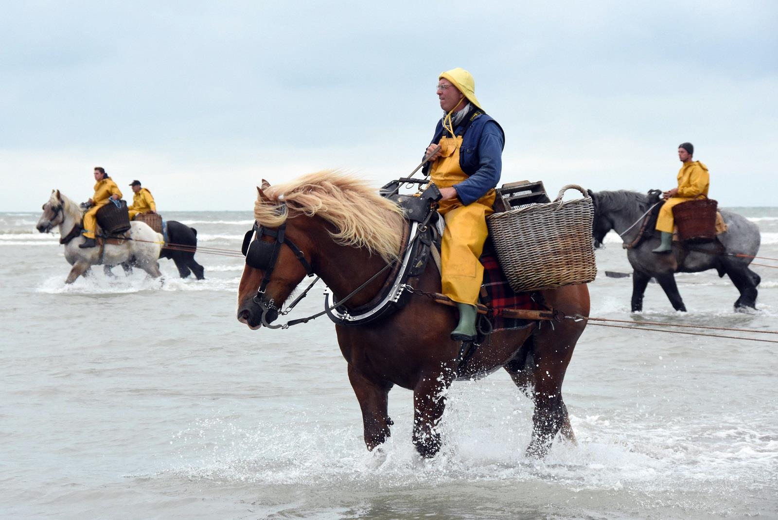 pecheurs au cheval