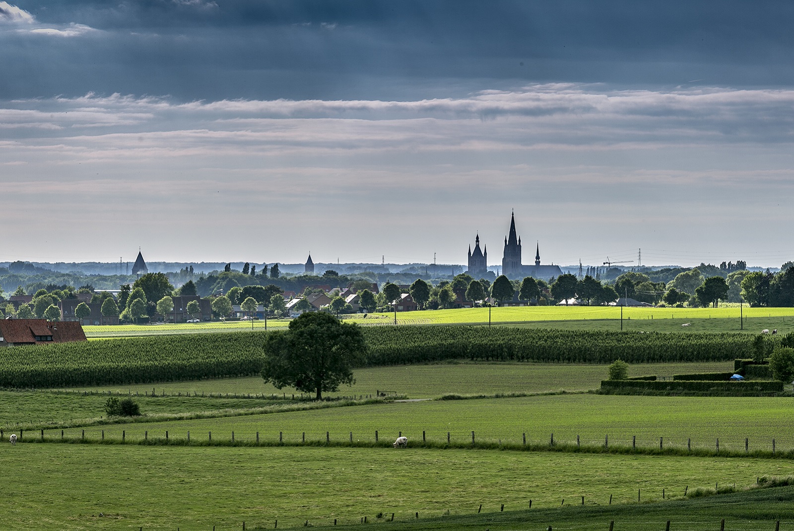 ieper landschap