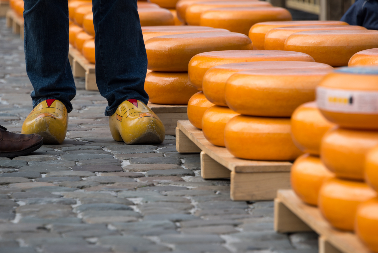 Gouda fromage