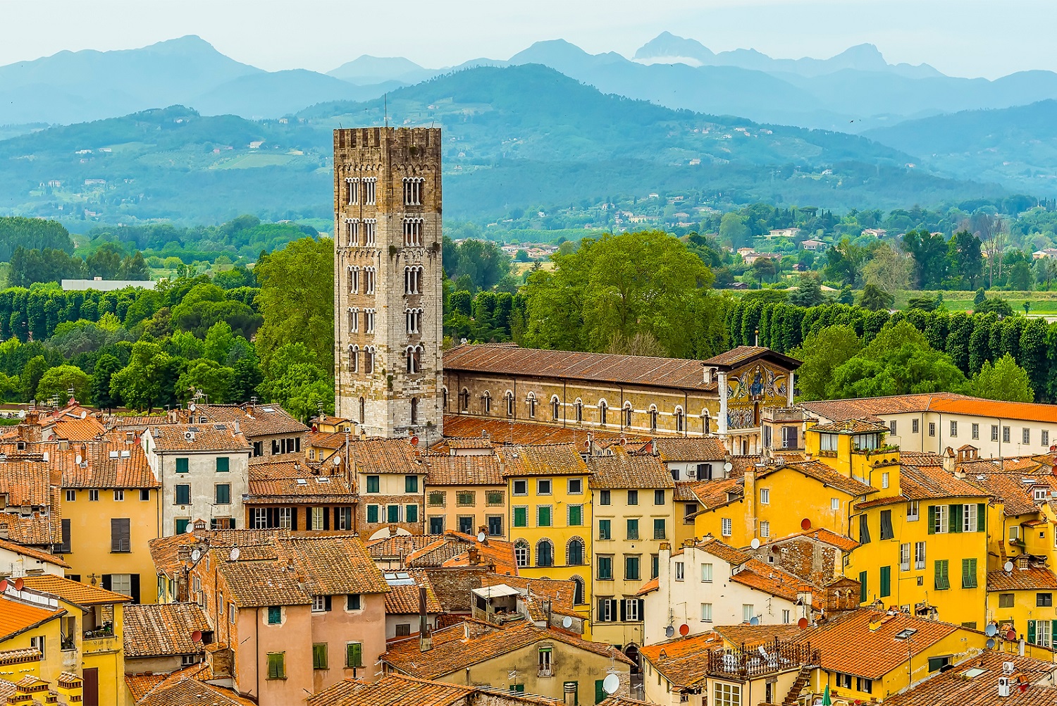 guinigi toren lucca italie 