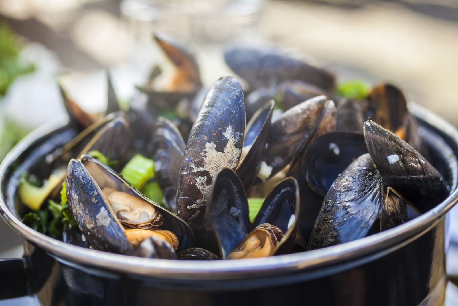 moules