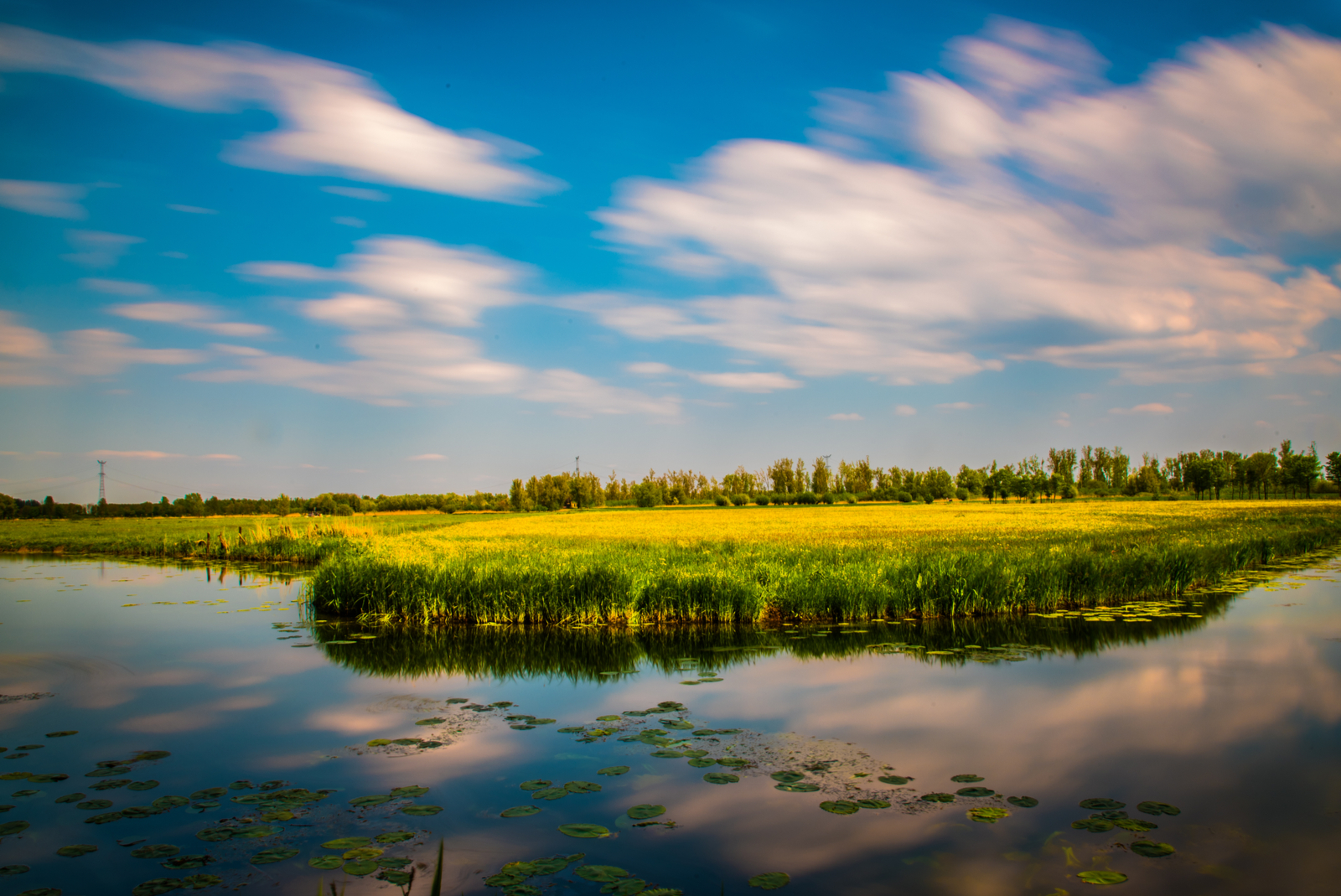 park biesbosch nederland