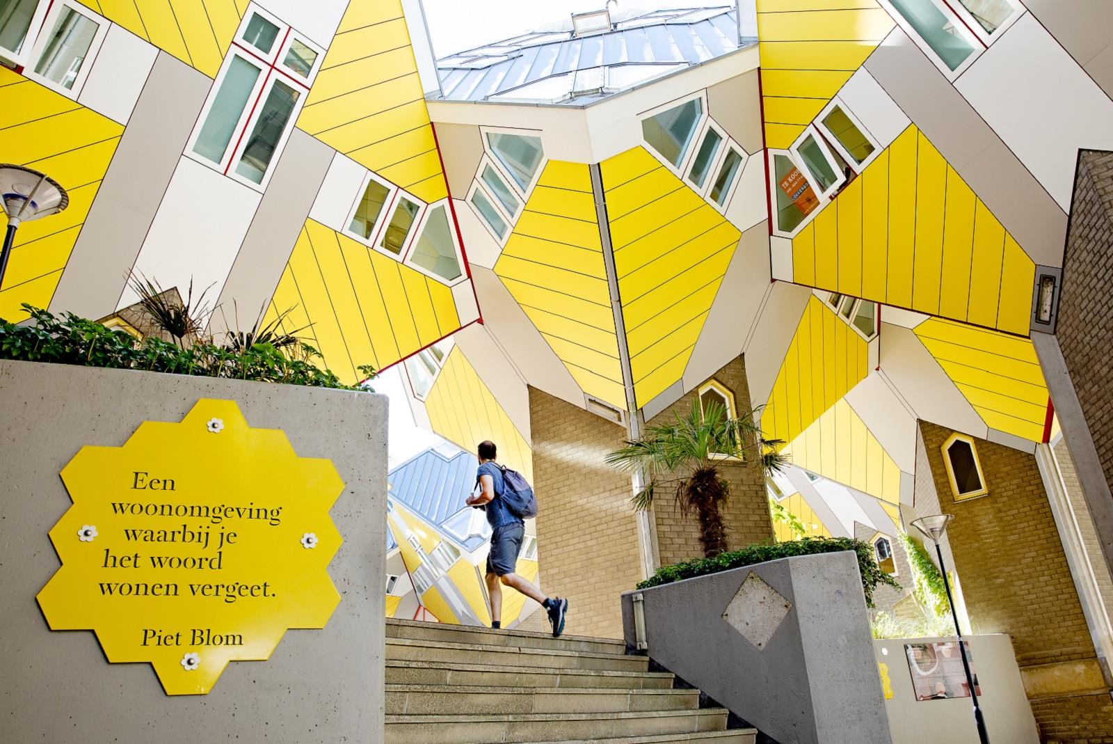 rotterdam cubes