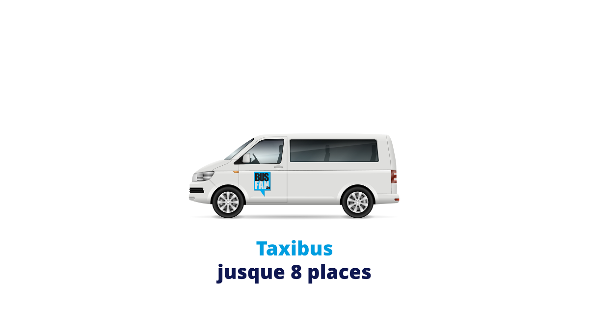 type taxibus jusque 8 places