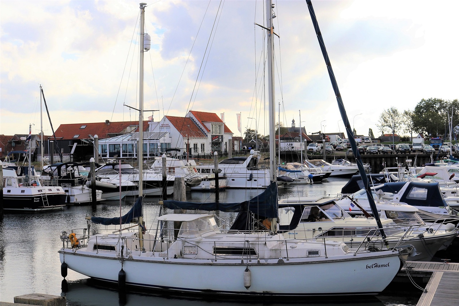 yerseke oesters