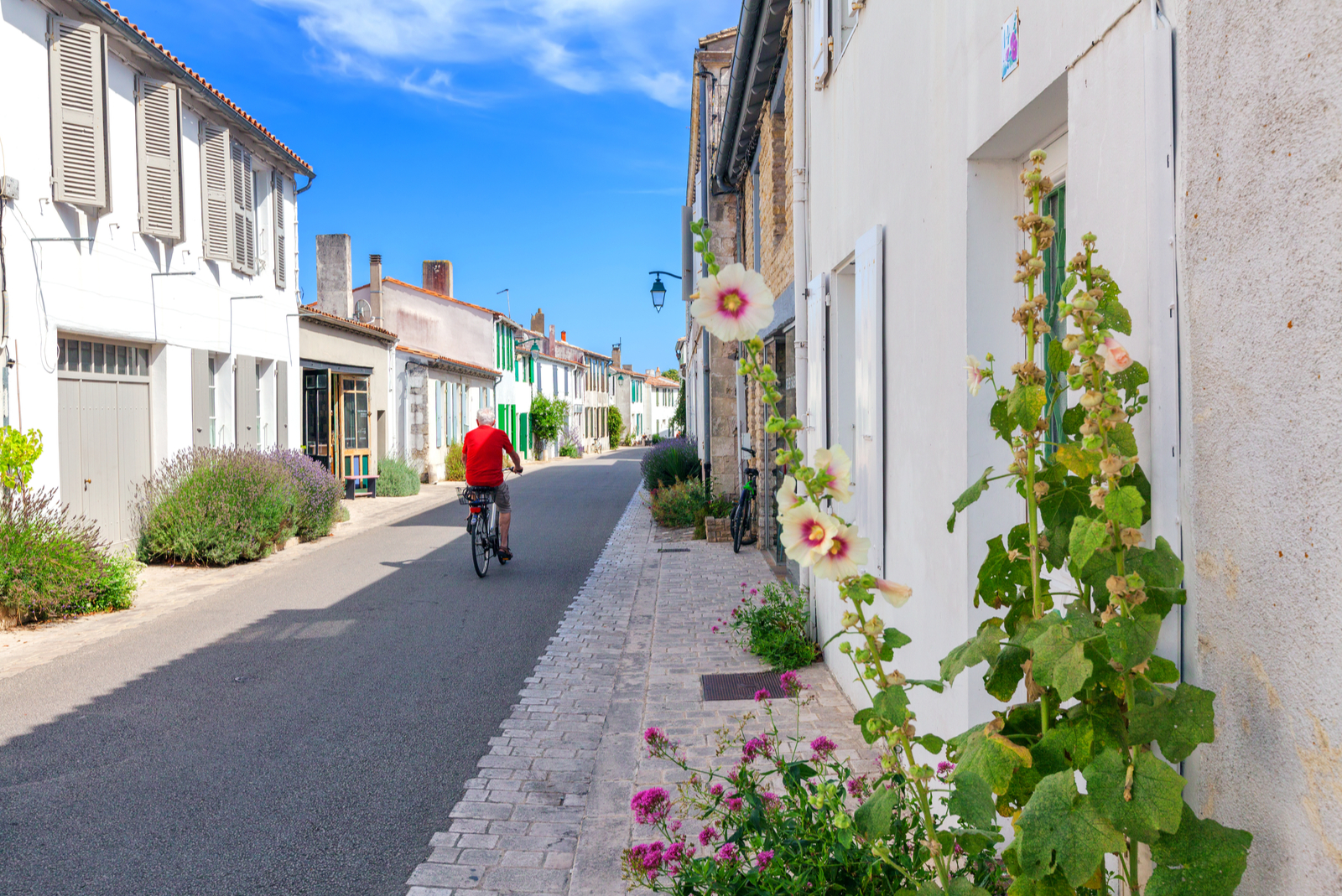 île de ré france