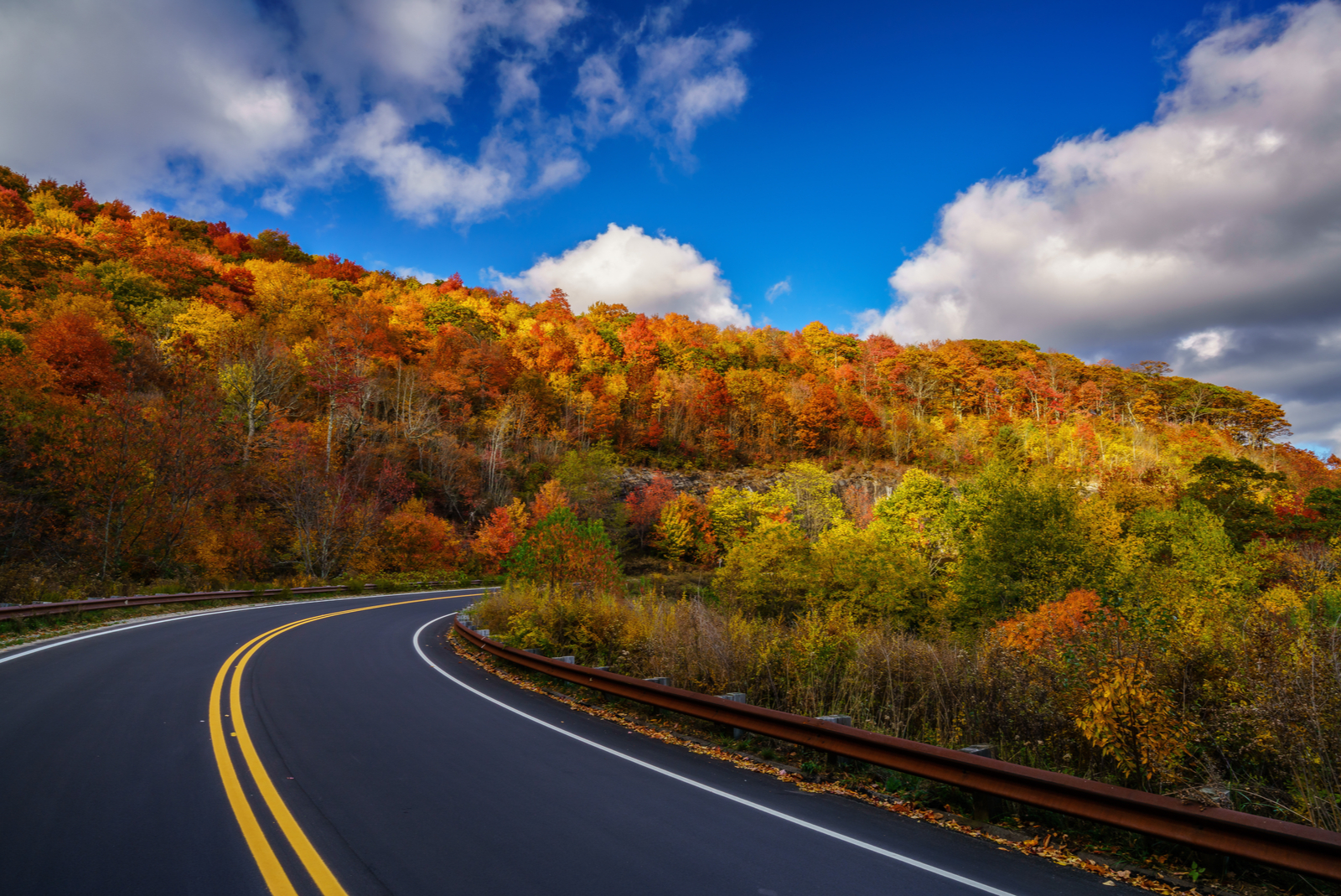 landschap weg herfst