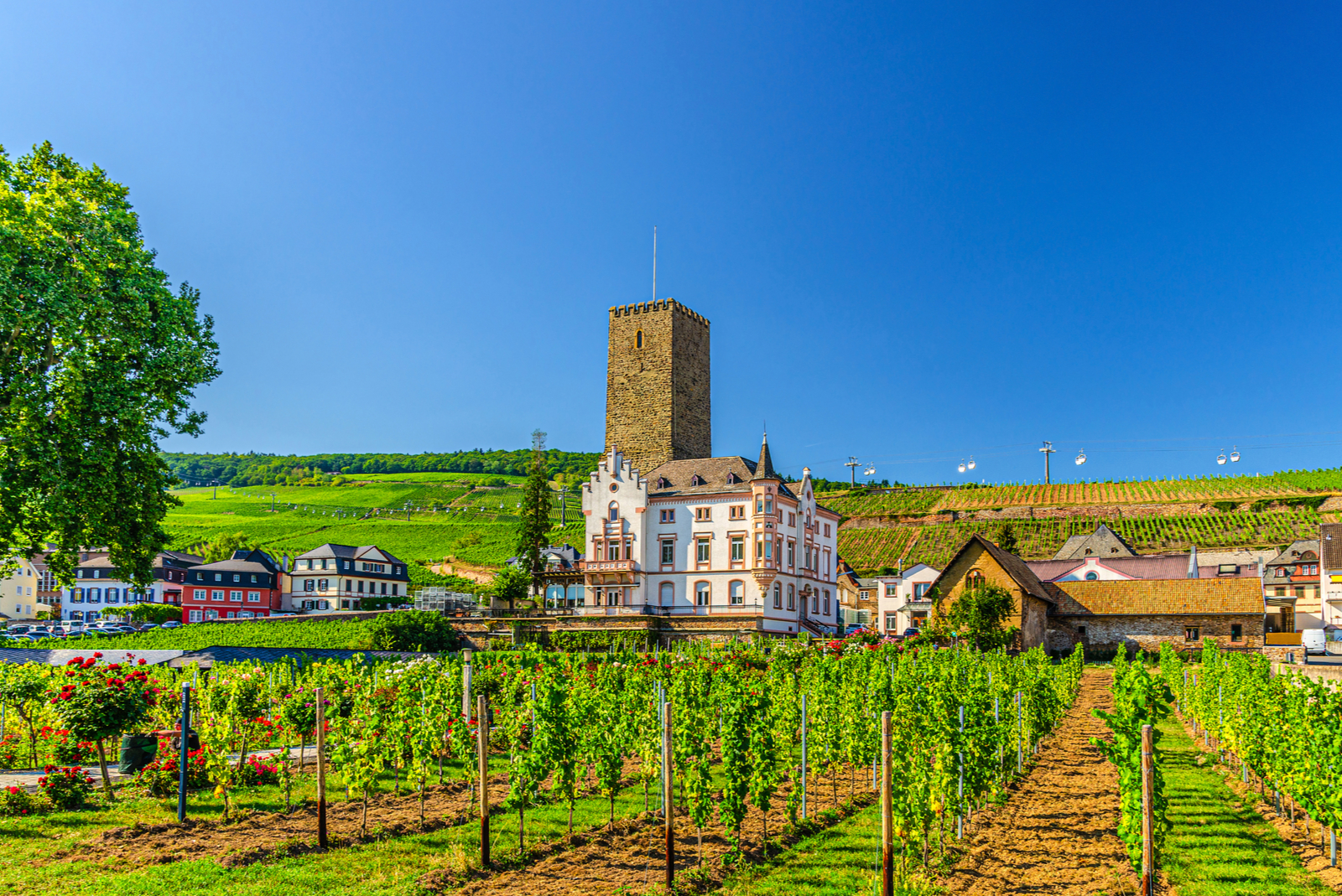 rudesheim aan de rijn