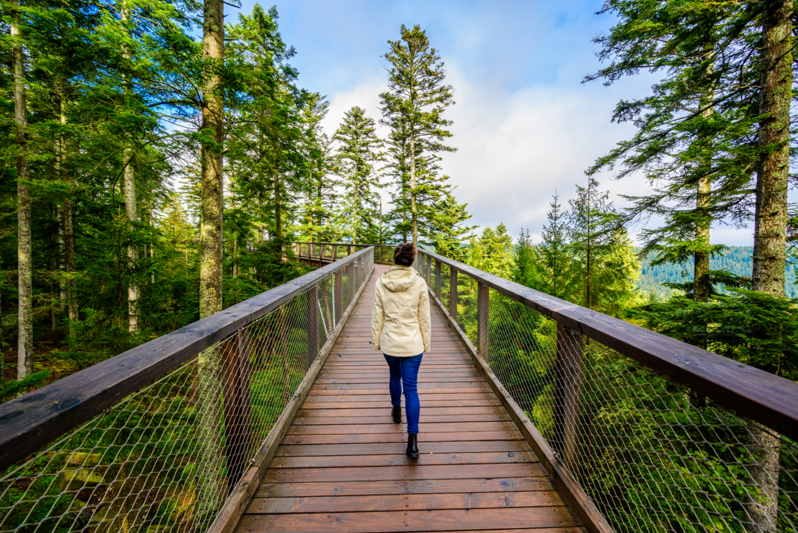 Skywalk Zwarte Woud Bad Wildbad