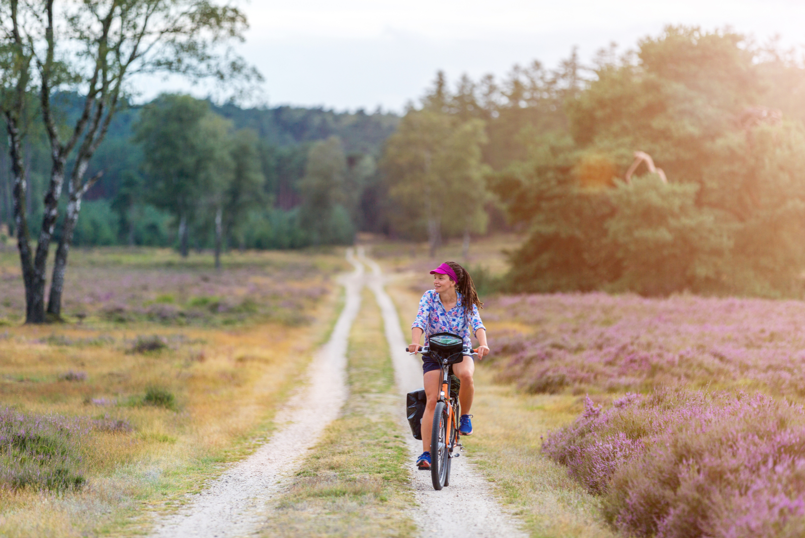 fietsen in veluwe