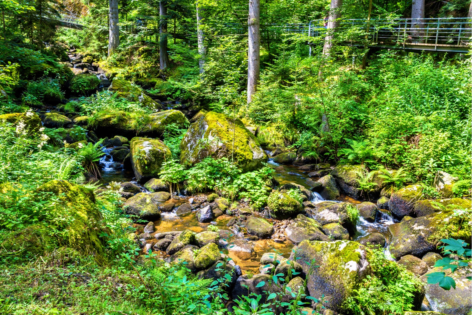 triberg zwarte woud