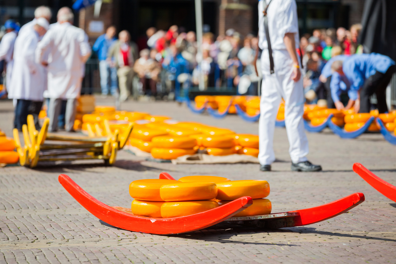 kaasmarkt alkmaar nederland