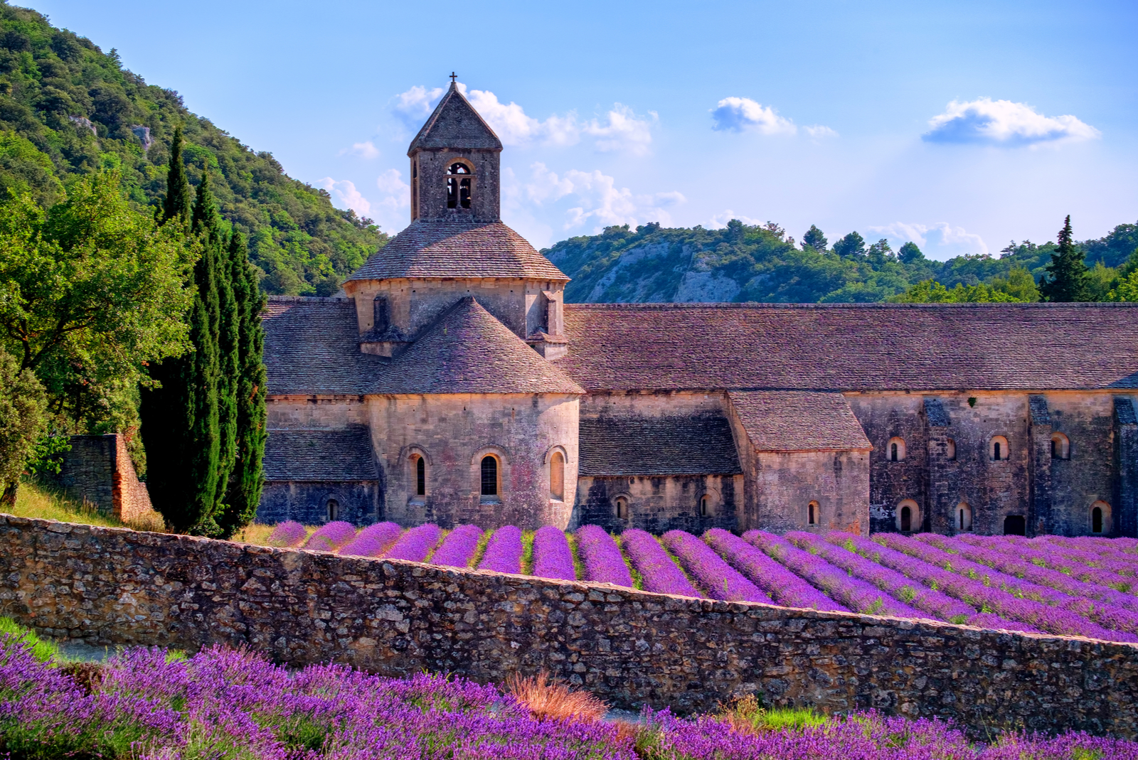 senanque provence